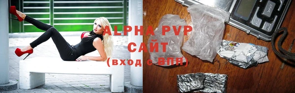 хмурый Гусев