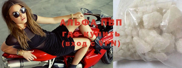 гашик Надым