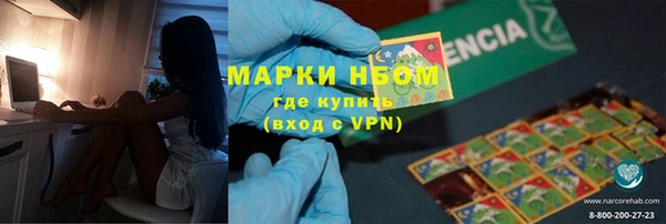 гашик Надым