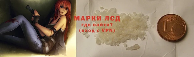 шишки Гусиноозёрск