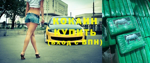мдпв Гусь-Хрустальный