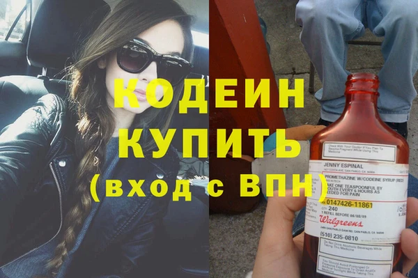 шишки Гусиноозёрск