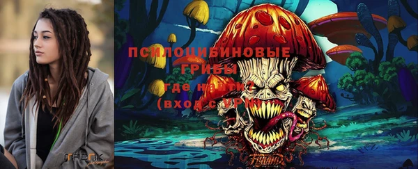 мдпв Гусь-Хрустальный