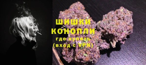мдпв Гусь-Хрустальный