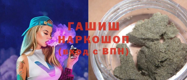 шишки Гусиноозёрск