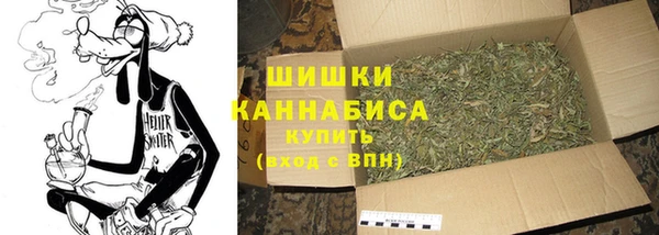 мдпв Гусь-Хрустальный