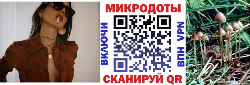 блэк спрут ссылки  Олёкминск  Галлюциногенные грибы прущие грибы 